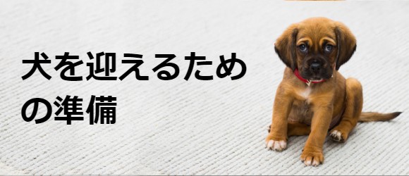 犬を迎えるための準備